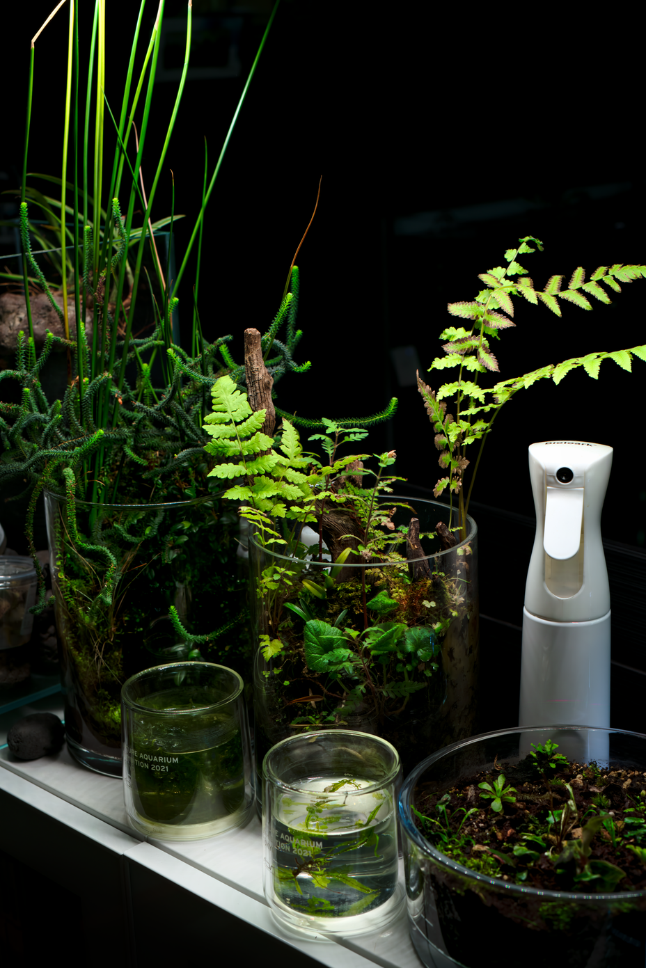 verschiedene Wabi kusa auf einem schrank