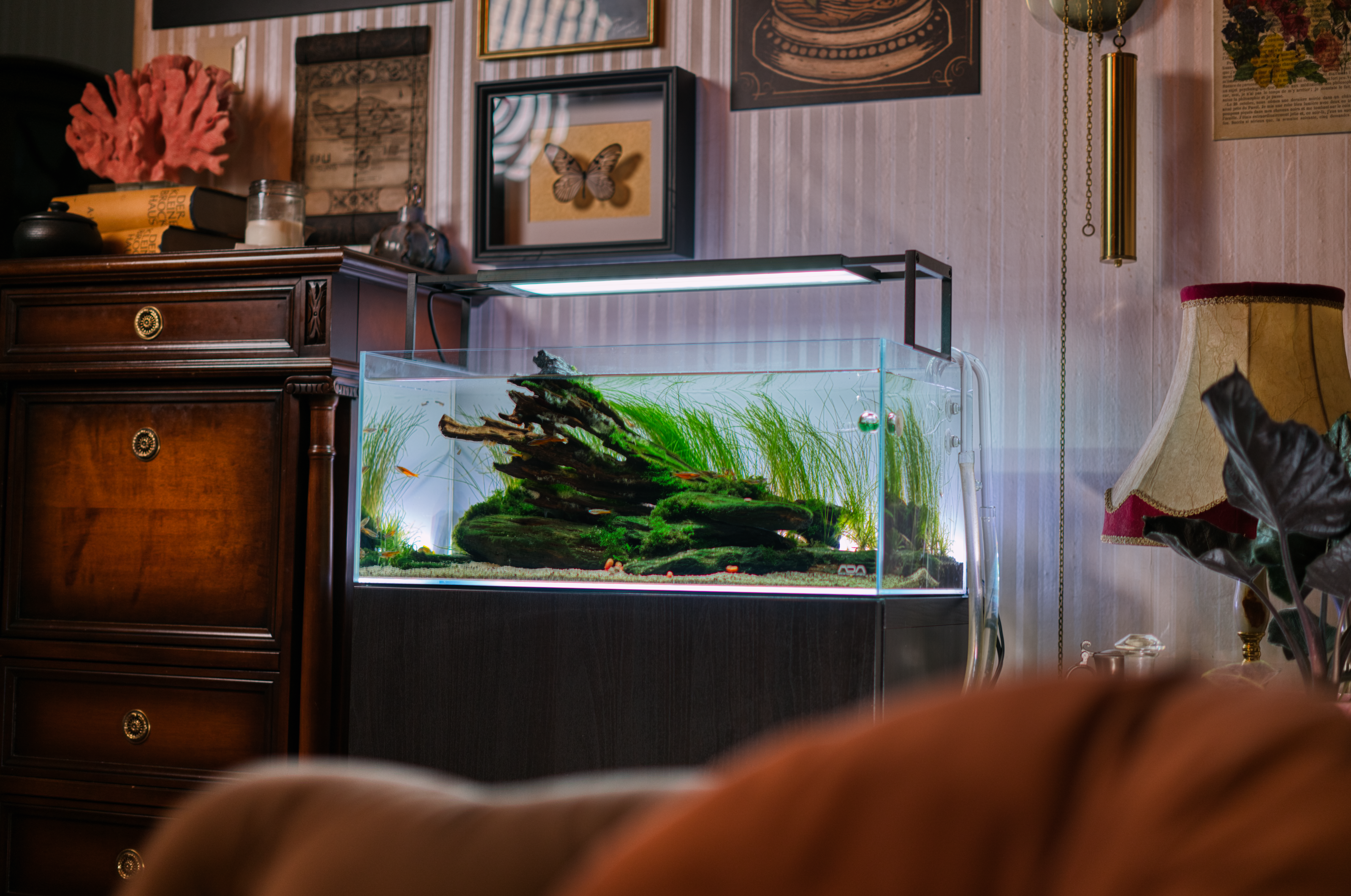 Mietaquarium Aquascape Anfrage