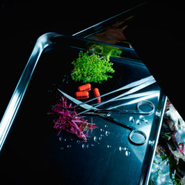 Pflege eines Aquariums