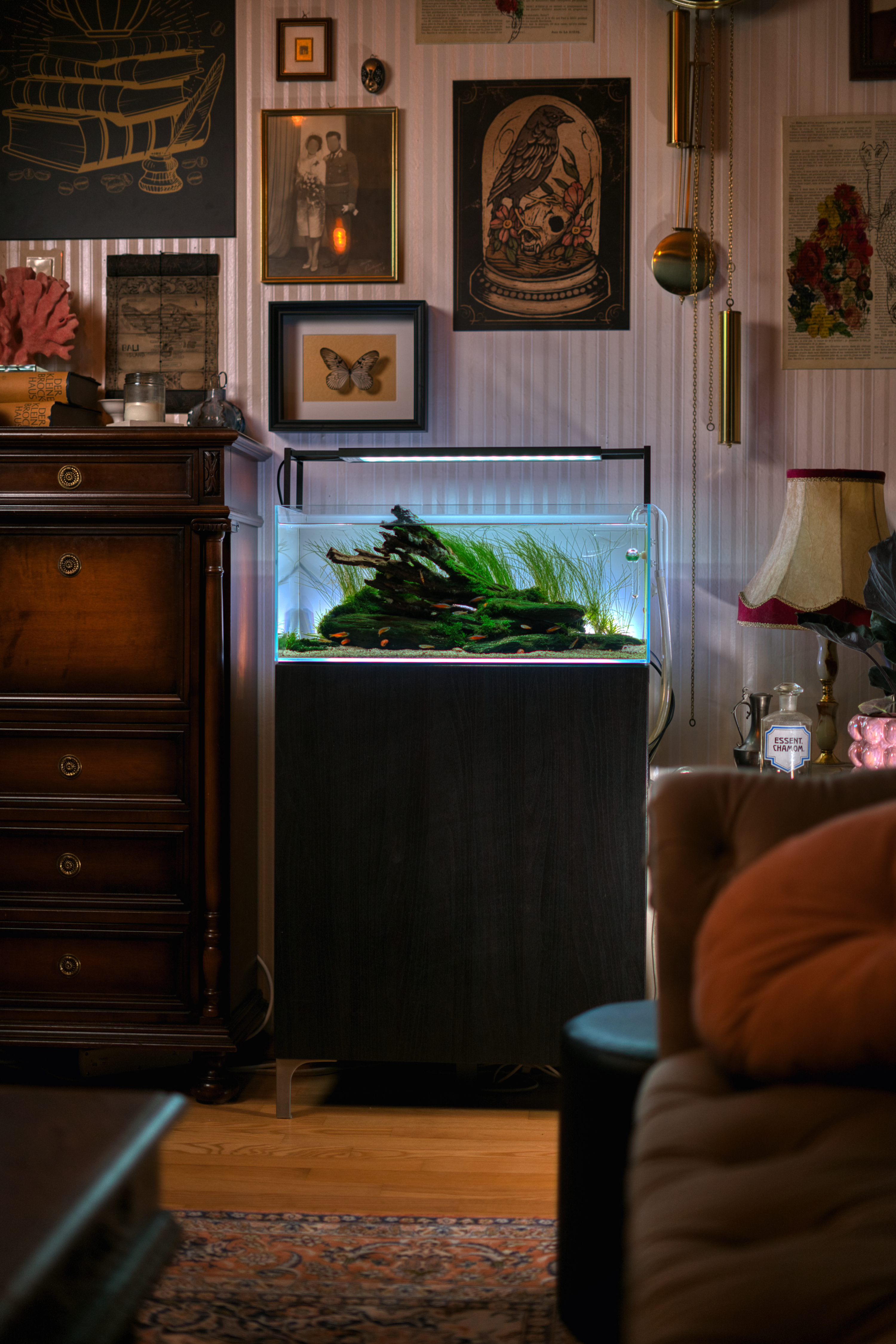 Mietaquarium Aquascape Anfrage