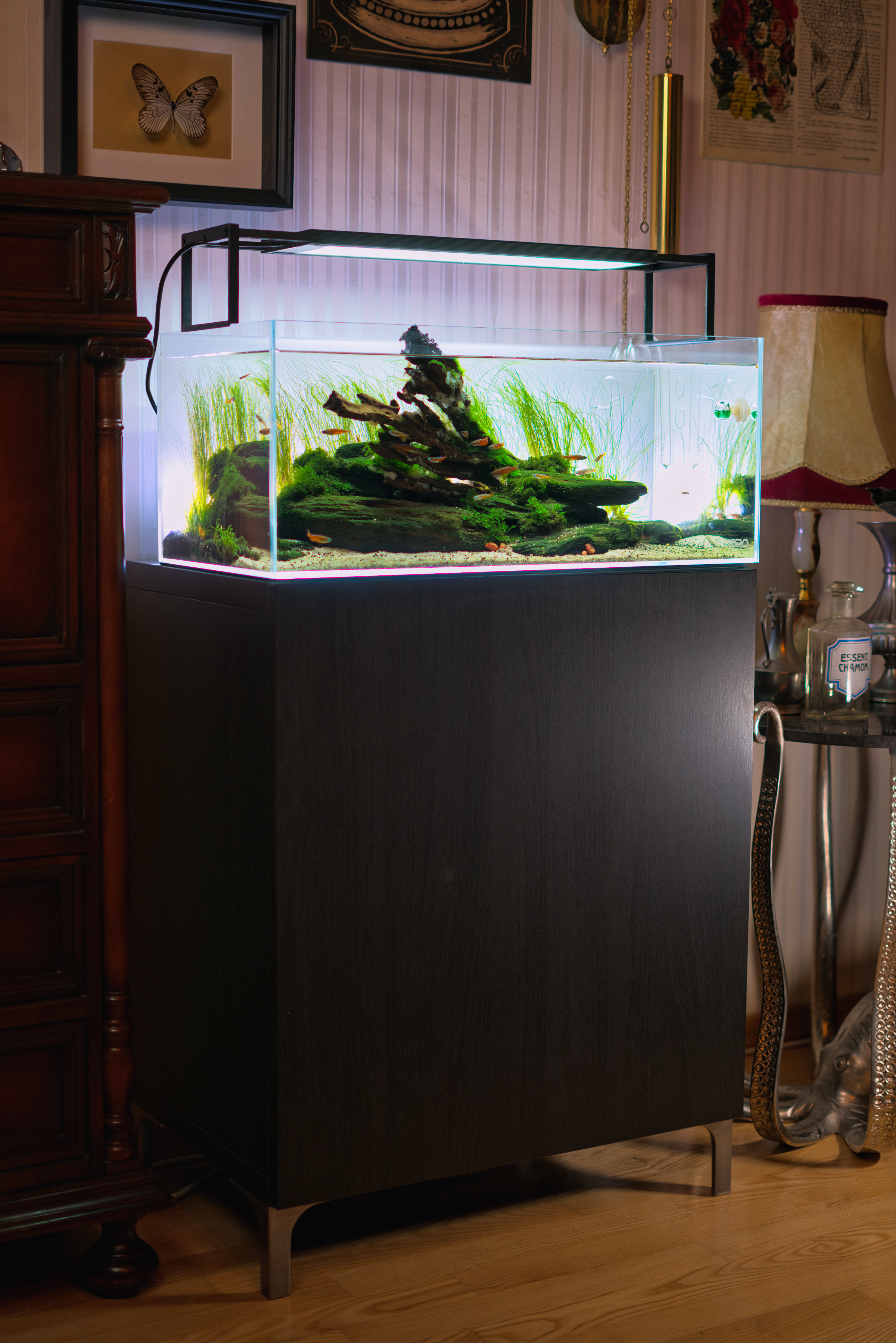 Mietaquarium Aquascape Anfrage
